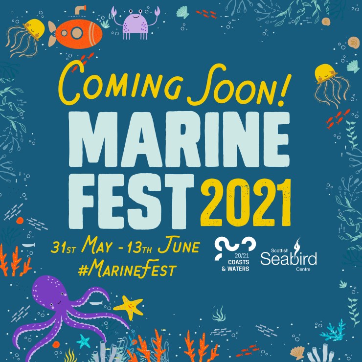 MarineFest - FB event timeline ad v1_